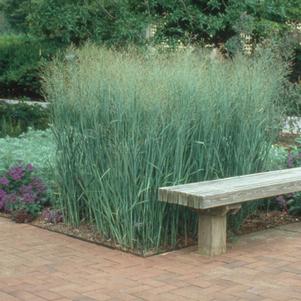 19 units available! Pre-Order Qty: 0