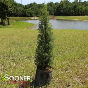 0 units available! Pre-Order Qty: 9