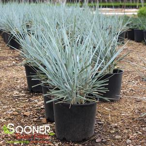 648 units available! Pre-Order Qty: 0