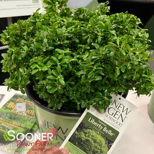 0 units available! Pre-Order Qty: 0