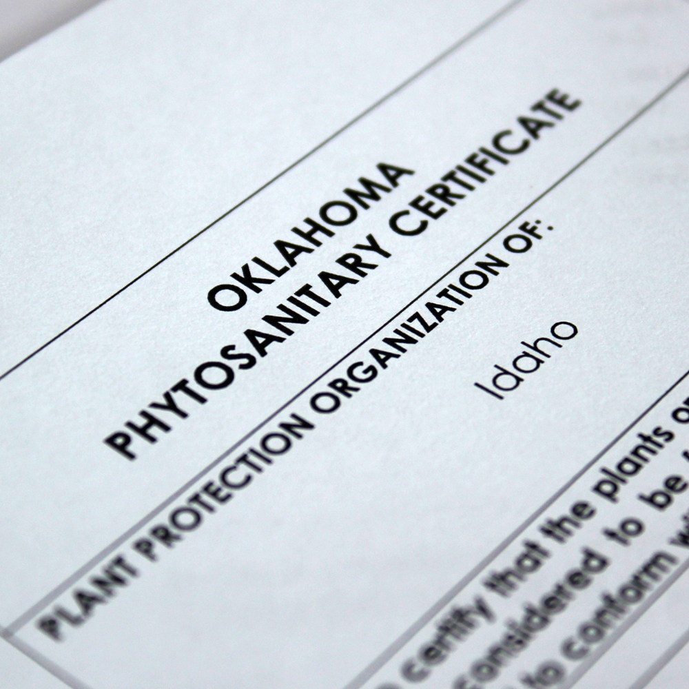 Phyto Fee