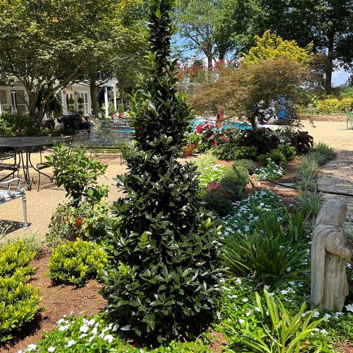 Image used with permission from Greenleaf Nursery Company