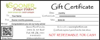 Sooner Monthly Giveaway