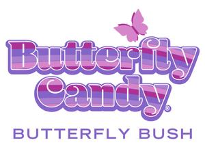 Butterfly Candy® Butterfly Bush