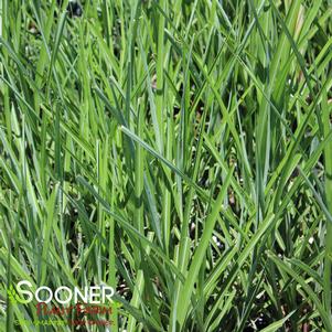 8 units available! Pre-Order Qty: 0