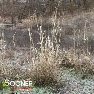 0 units available! Pre-Order Qty: 0