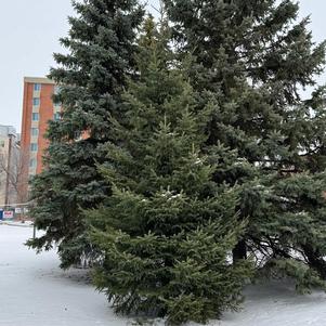 210 units available! Pre-Order Qty: 0