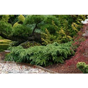 0 units available! Pre-Order Qty: 0