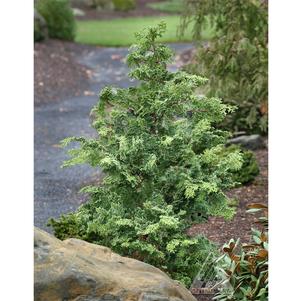 0 units available! Pre-Order Qty: 0