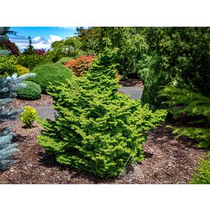 0 units available! Pre-Order Qty: 0