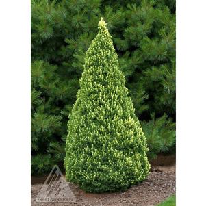 0 units available! Pre-Order Qty: 0