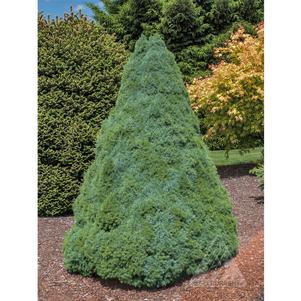 0 units available! Pre-Order Qty: 0