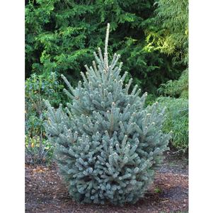 0 units available! Pre-Order Qty: 0