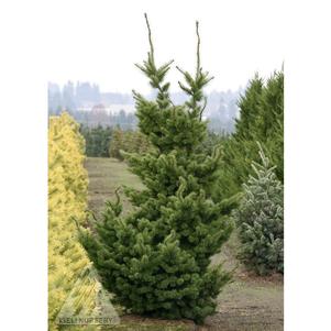 0 units available! Pre-Order Qty: 0