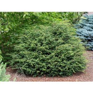 0 units available! Pre-Order Qty: 0