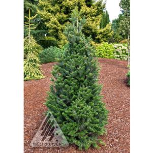 0 units available! Pre-Order Qty: 0