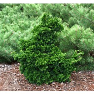 0 units available! Pre-Order Qty: 0