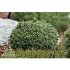 0 units available! Pre-Order Qty: 0